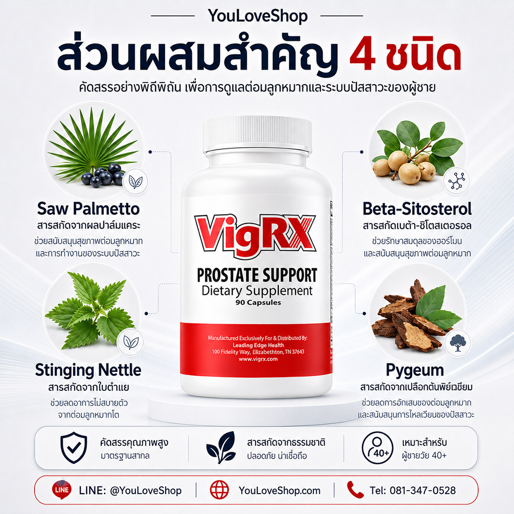 VigRX Prostate Support ภาพส่วนผสมสำคัญ 4 ชนิด Saw Palmetto Beta-Sitosterol Stinging Nettle และ Pygeum สำหรับดูแลสุขภาพผู้ชาย