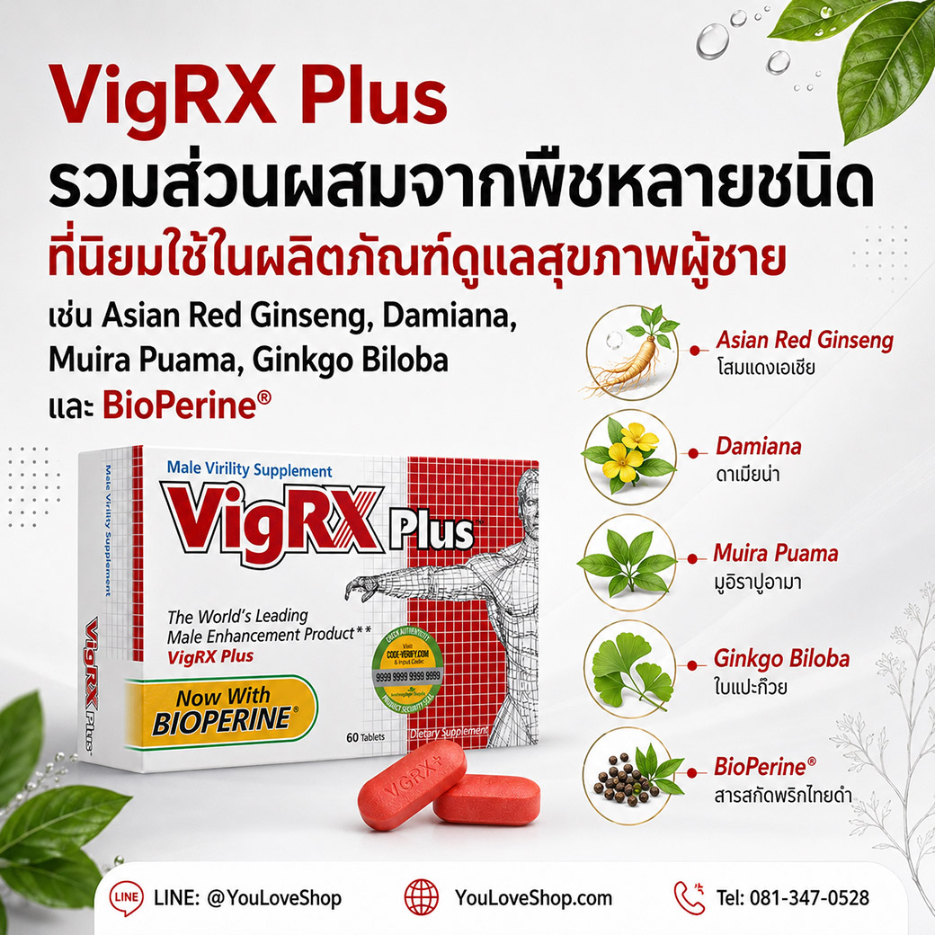 ส่วนผสมสำคัญของ VigRX Plus พร้อม BioPerine VigRX Plus รวมส่วนผสมจากพืชหลายชนิด เช่น Asian Red Ginseng, Damiana, Muira Puama, Ginkgo Biloba และ BioPerine
